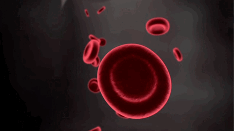 Blood animation. Гемолиз эритроцитов гиф. Тромбоциты лейкоциты эритроциты гиф. Эритроциты гифка.