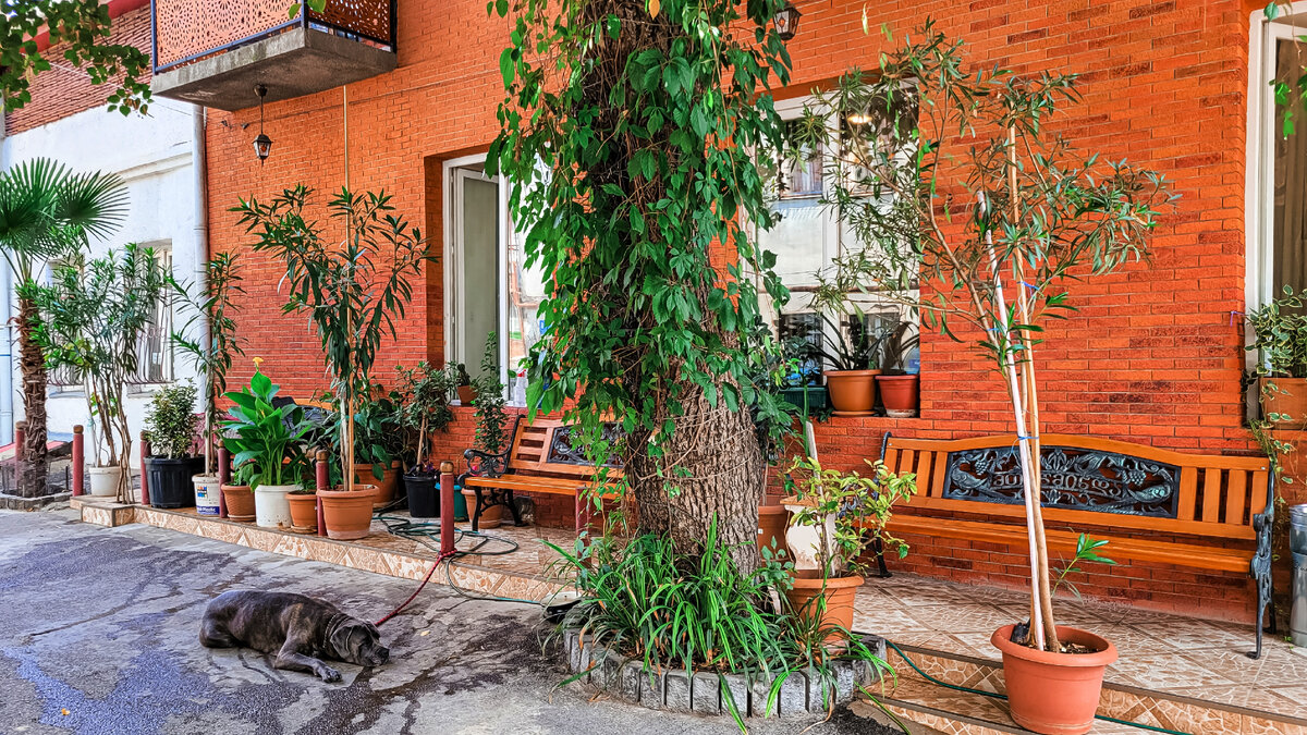 Так выглядит здание отеля с улицы