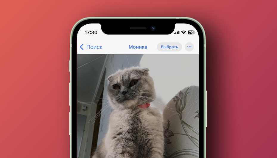    iOS 17