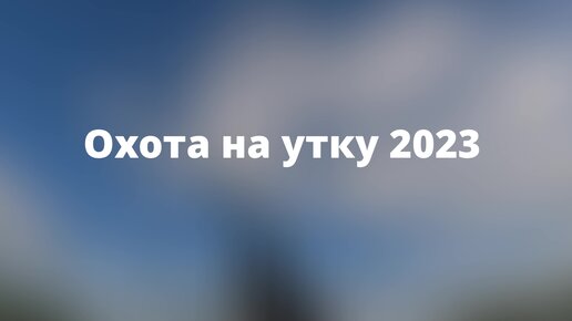 Утина 2023