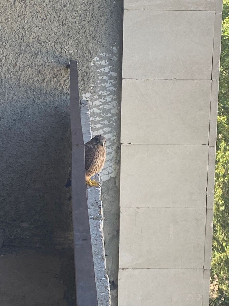 Беспокоится: точно меня не обидите?