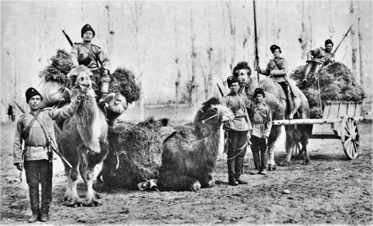 https://upload.wikimedia.org/wikipedia/commons/thumb/5/5a/Orenburg_cossacks_with_camels.jpg/1920px-Orenburg_cossacks_with_camels.jpg