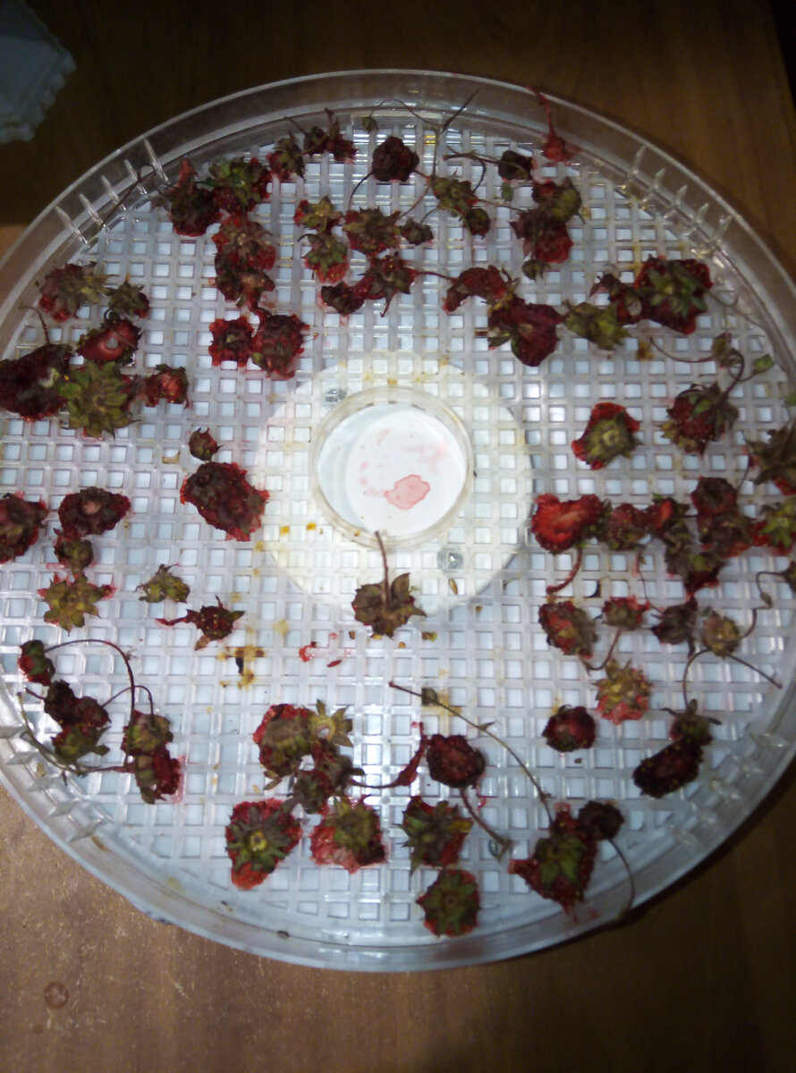 Посмотрю, что из этого получится.