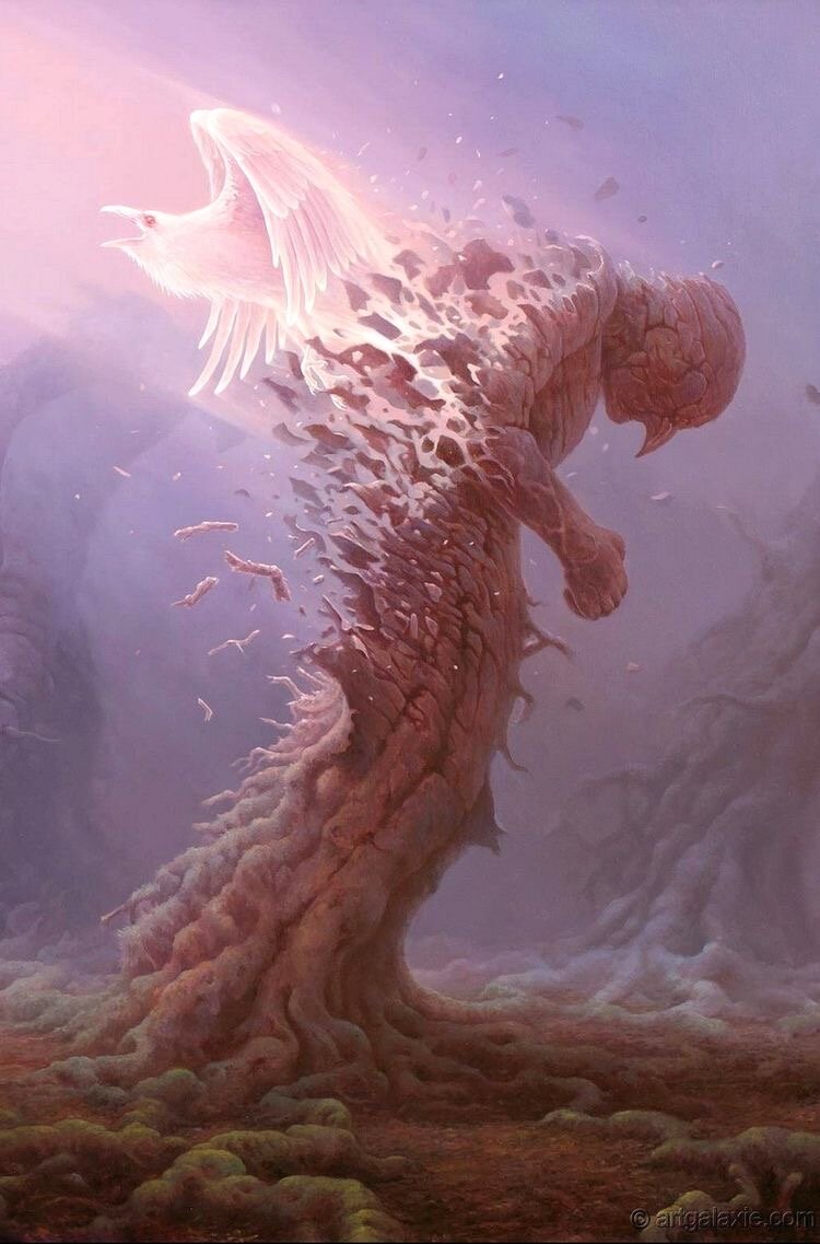 Фото из открытого доступа в Интернете