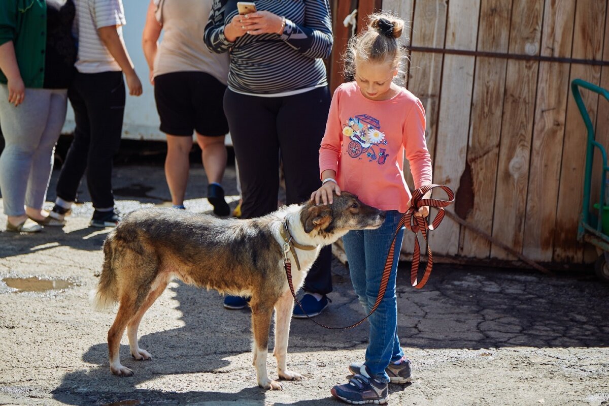 Фото: Благотворительный фонд «ЗООзащита»