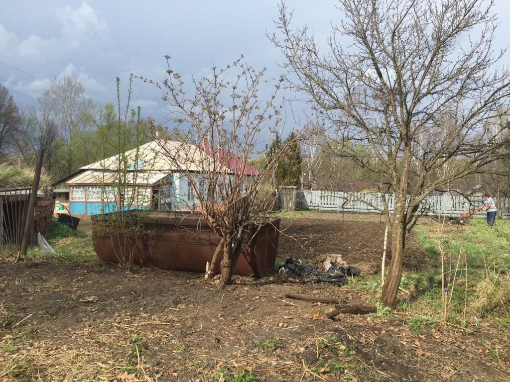 Начали разбирать старый завалившийся деревянный забор (стоял вдоль древьев).