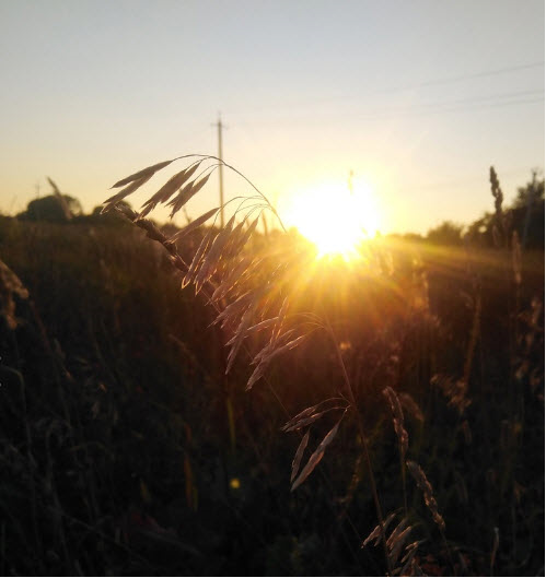 Фотография из личного архива автора.