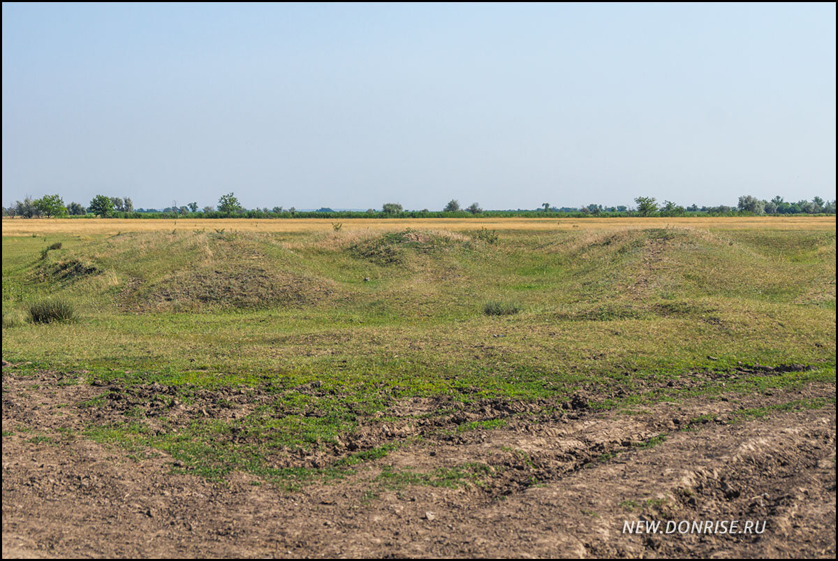 Местный пейзаж (листайте!)
