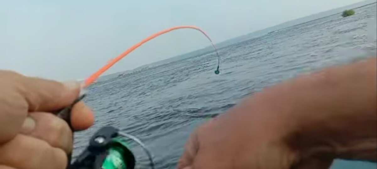 Фото автора . Чтобы что-то поймать , надо что-то закинуть