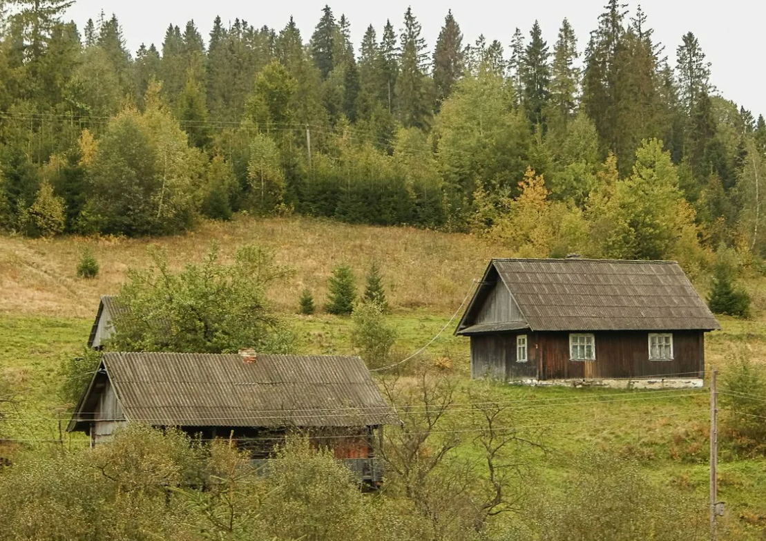 Яндекс картинки