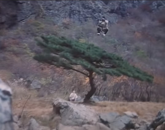 Ну ведь реальная картинка, настоящая, да, висит на тросах, но местность-то не рисованная