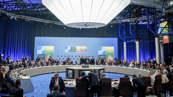    Зеленский назвал результаты саммита НАТО хорошими Иван Обухов