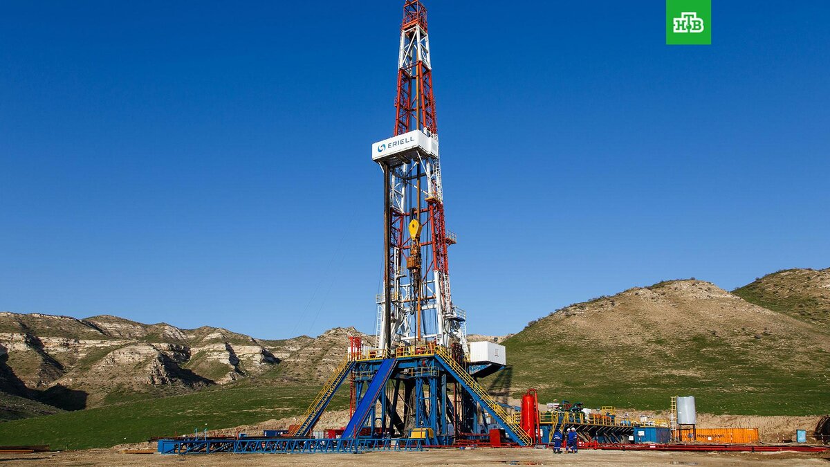    Фото: unsplash.com