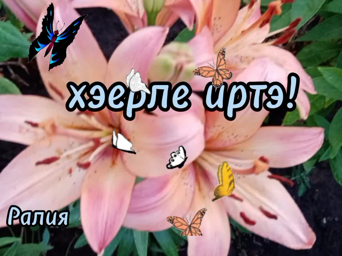 Хэерле иртэ новые свежие картинки на татарском
