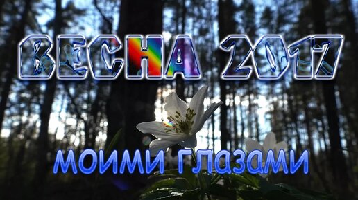 Весна 2017 моими глазами. Карельский перешеек. Семиозерье