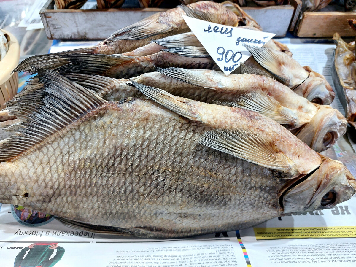 Фото автора донской лещ