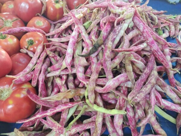    Фото: Екатерина Иванова