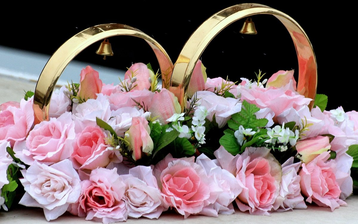    В Томской области в июне 2023 года поженились более 800 пар