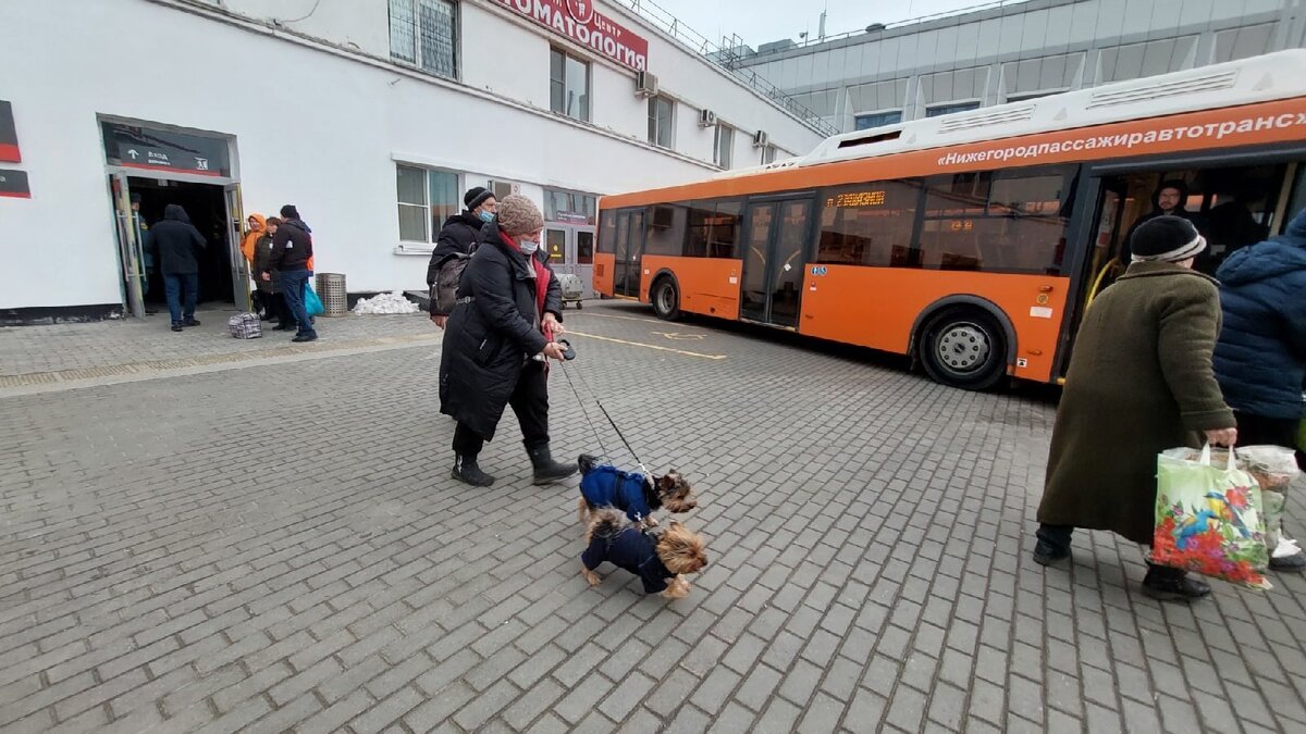     Еще почти 242,7 млн рублей планируется направить на помощь беженцам в Нижегородской области. Об этом сообщается в пояснительной записке к проекту изменений в облбюджет на 2023 год. Документ находится на рассмотрении в ЗСНО.