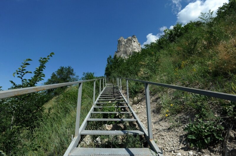 Фото – Софья Ярцева