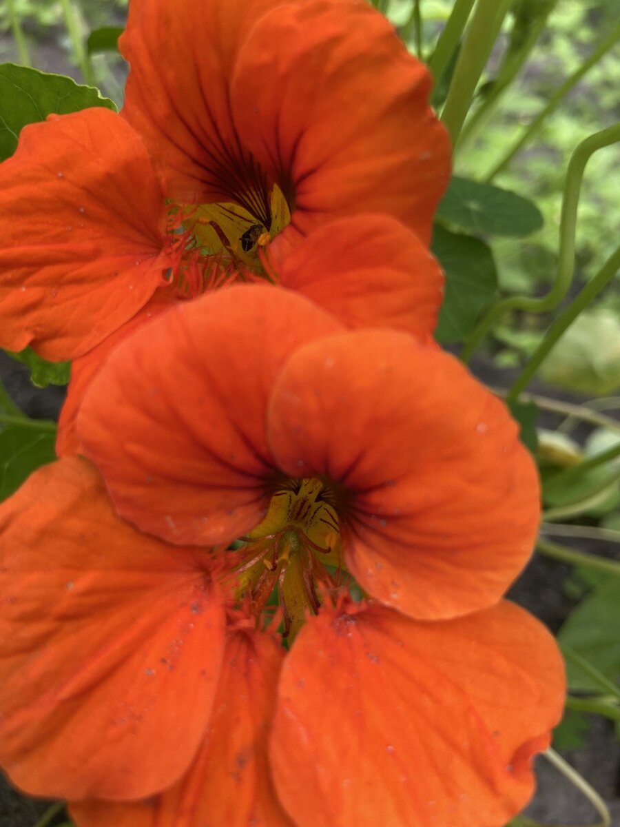 Ярких дней❗