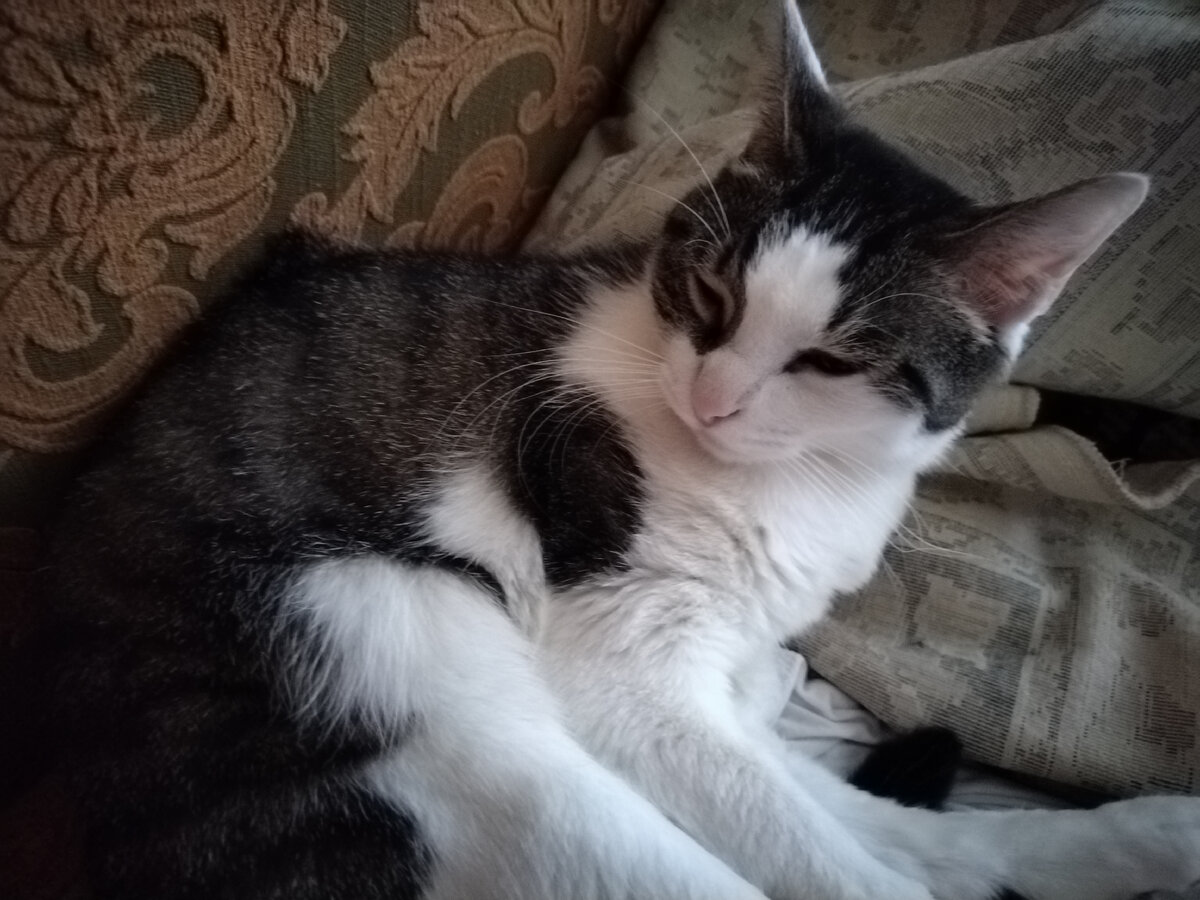 Фото автора 