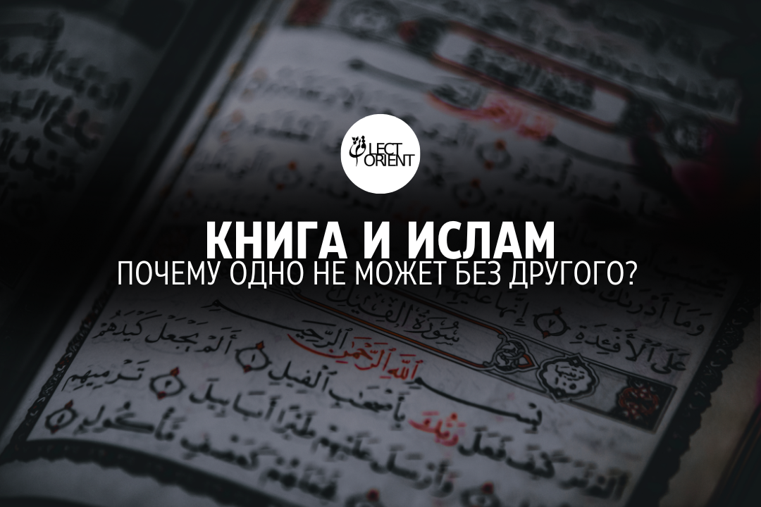 Фото взято из открытого фотостока Canva