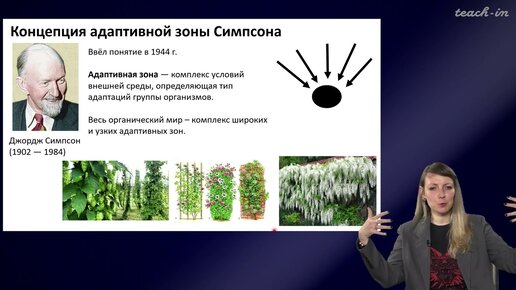 Шурупова Яна Андреевна - Теория эволюции - 8. Макроэволюция и эволюция экосистем