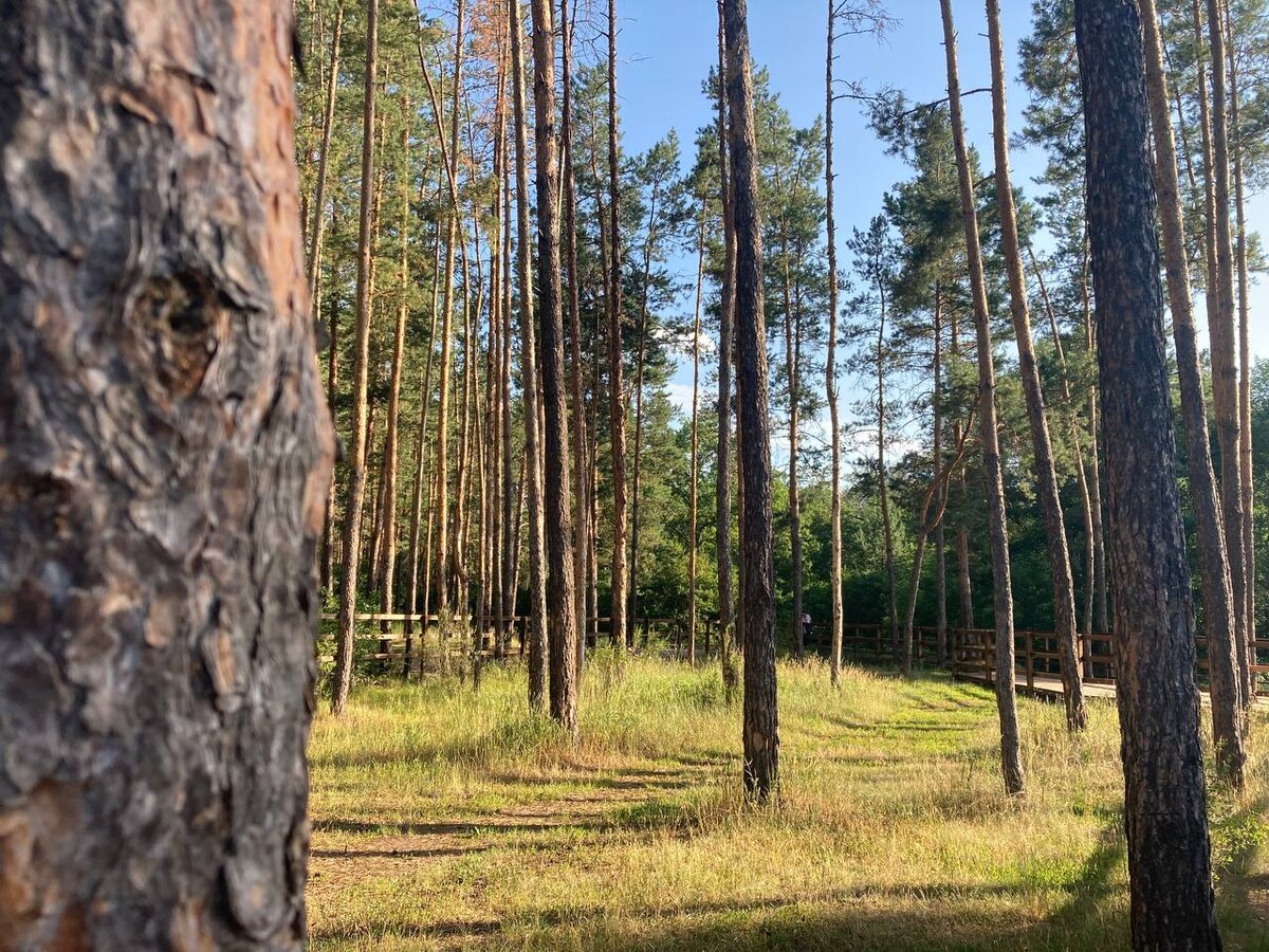 Фото из личного архива