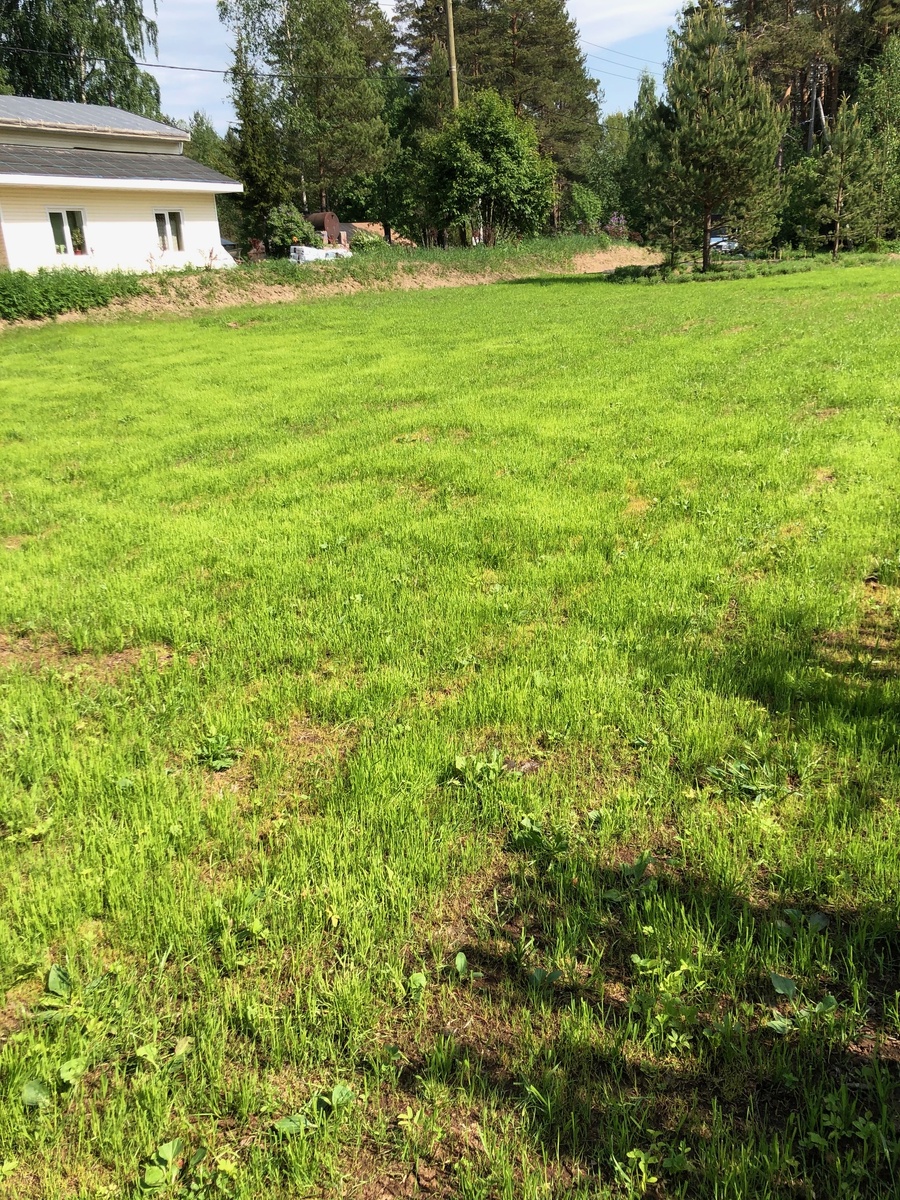 Это что стало через 2 года .