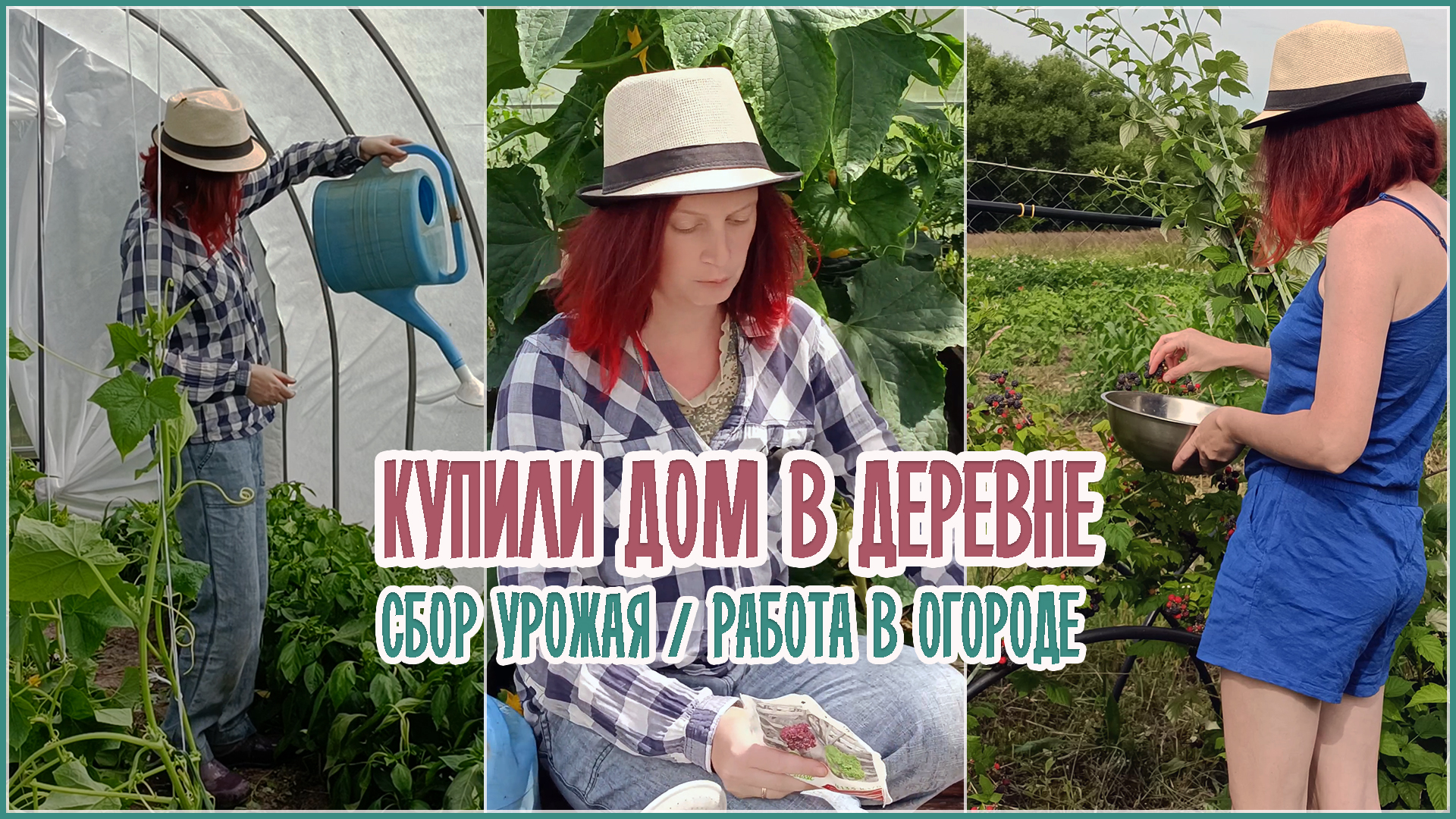 🏡 Купили дом в деревне / Сбор урожая / Работа в огороде