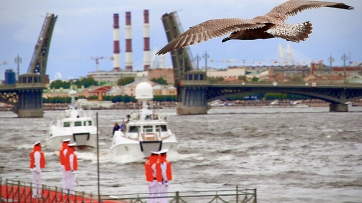 ФОТО: ПРАВИТЕЛЬСТВО САНКТ-ПЕТЕРБУРГА