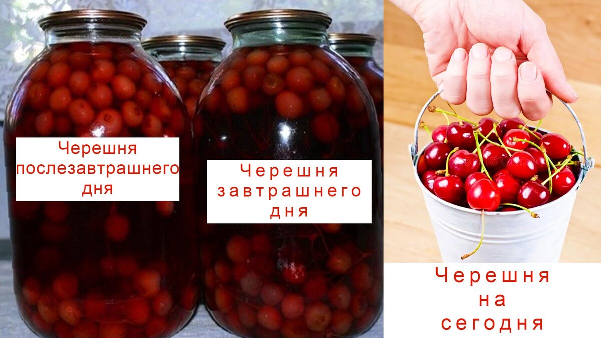 Какой план действий