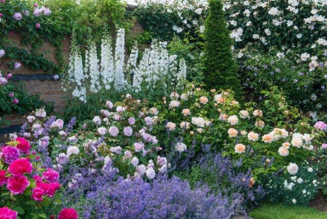 Фото из открытых источников.