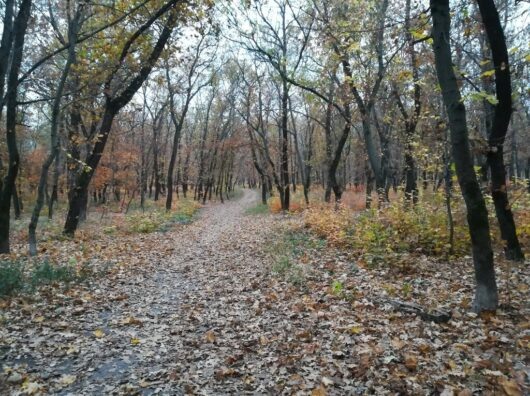    //Фото: rostov.cian.ru