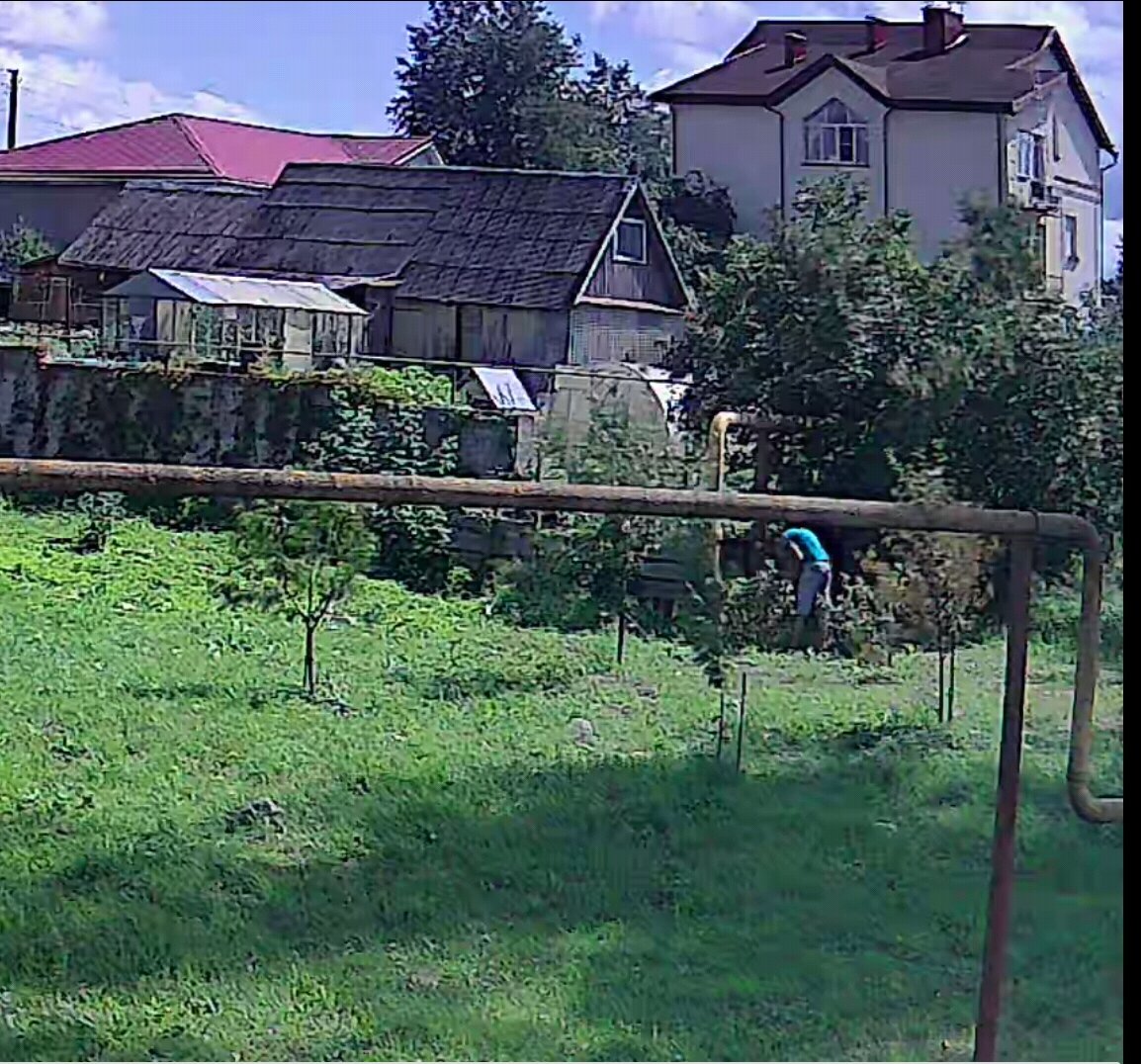 Вон он в голубой футболке