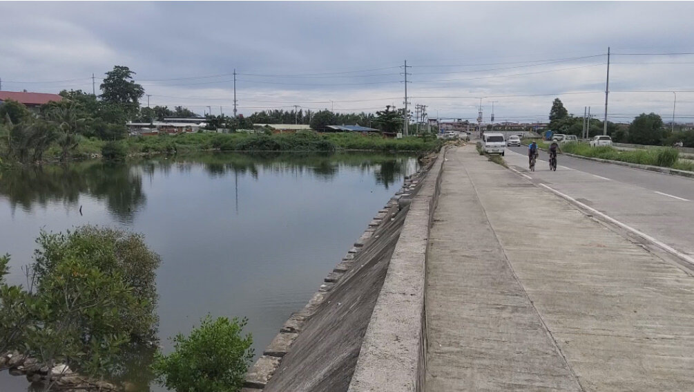 Стоит шум,гам,треск,...