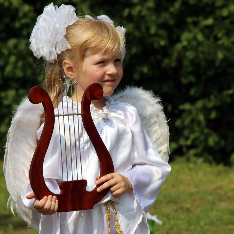 В Тверской области в предстоящие выходные пройдет фестиваль «Души преображенья Лира»