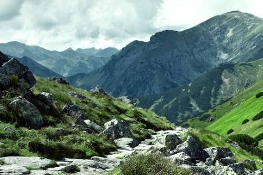    Республики СКФО отстают в рейтинге РФ по числу среднего класса