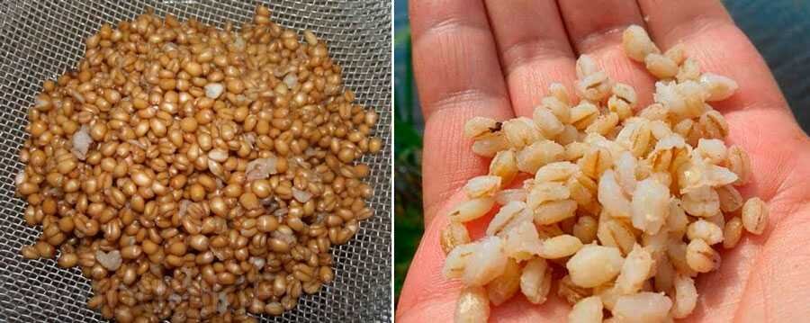 Фото с сайта: https://molkom-kazan.ru