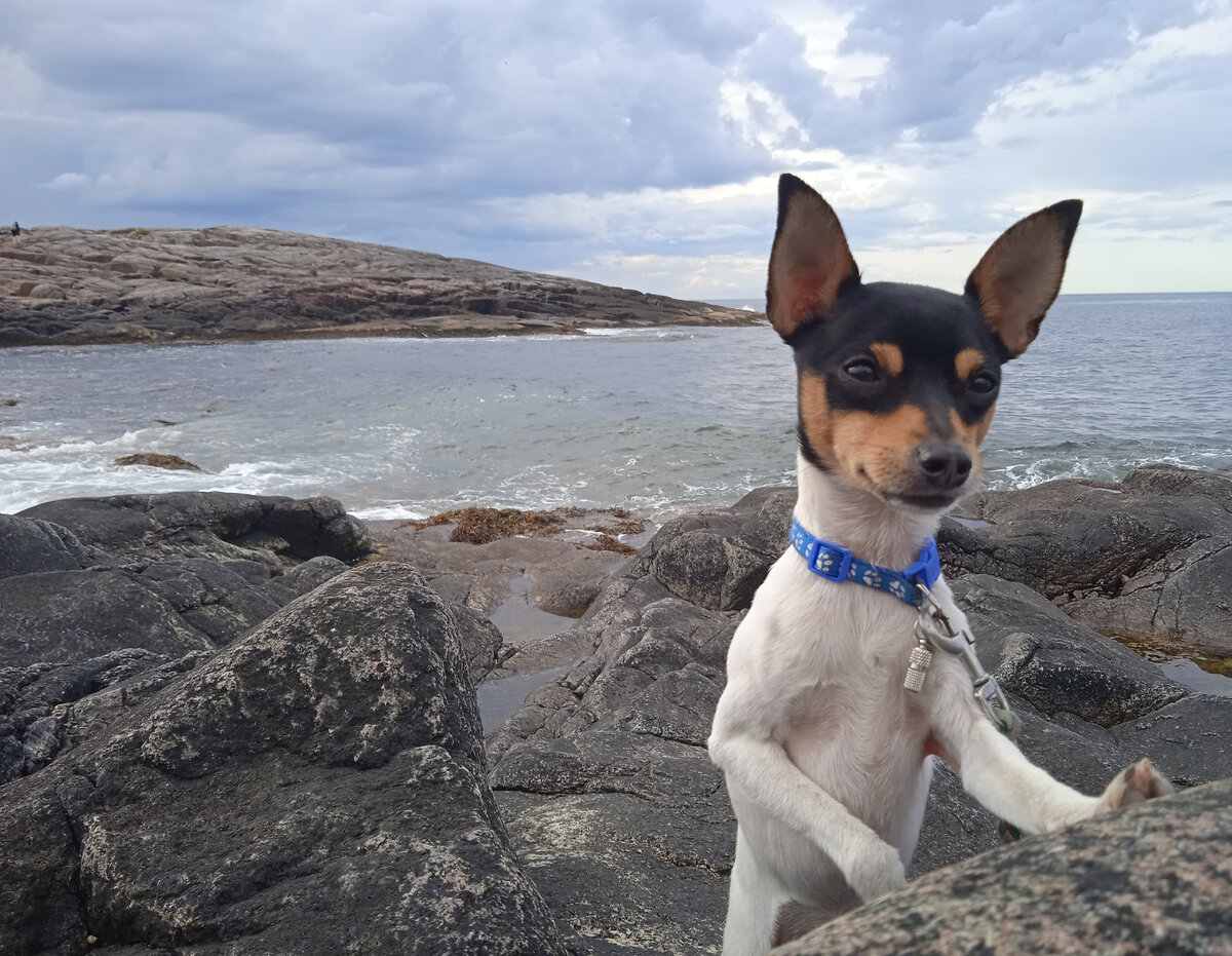 Дыхание Арктики. На Баренцевом море