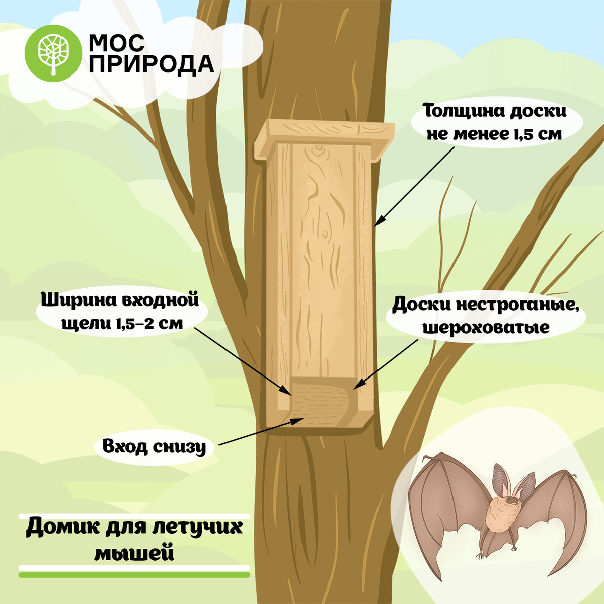 Летучей мыши – по крыше: Мосприрода запускает акцию по строительству домов  для рукокрылых 😃👍🏻 | Природа Москвы | Дзен