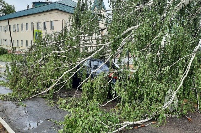    Какие природные катаклизмы в России предрекают метеорологи?