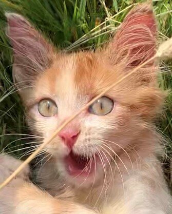 А что, так можно?