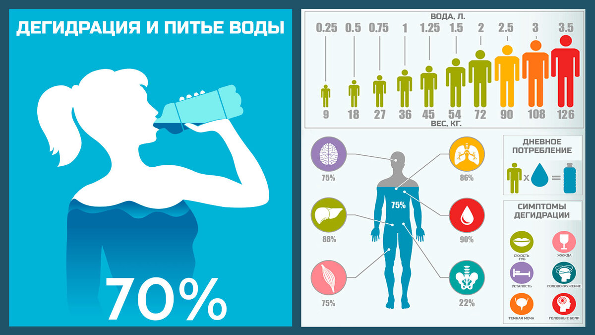 Инфографика. Дегидрация и питье воды. Сколько воды пить.