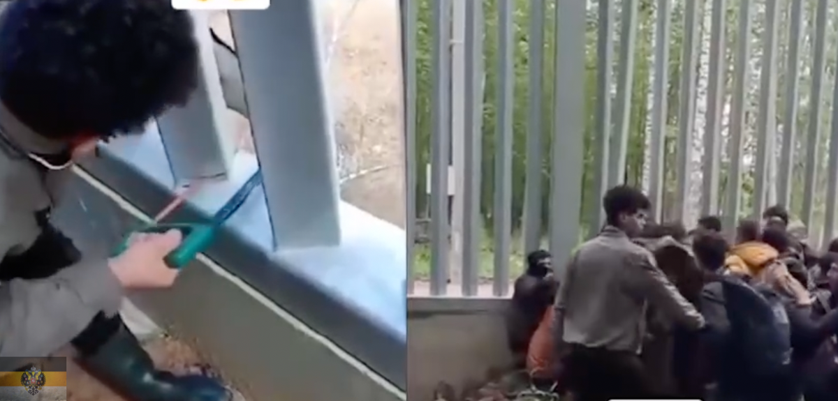 поляки получили. польша люди. поляк ваши деды красные фашисты. права которые получат граждане польши на украине.