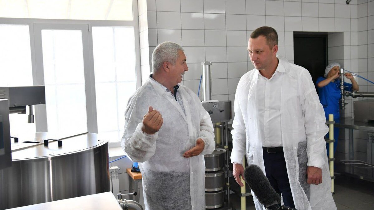    В Калининском районе начали выпускать мягкие сыры и топленое молоко Новости Саратова и области – Сетевое издание «Репортер64»