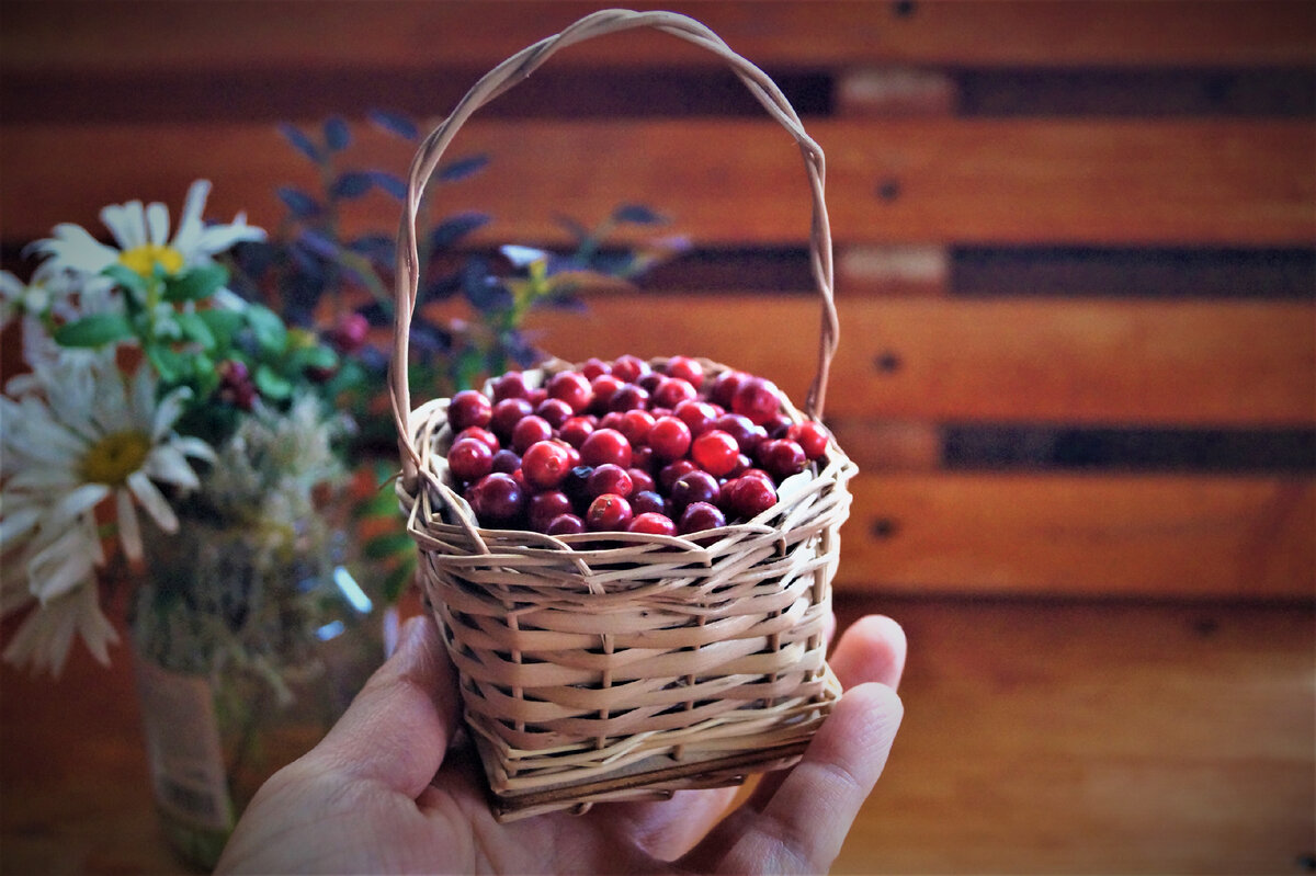 корзинка, сплетённая по инструкции из набора 