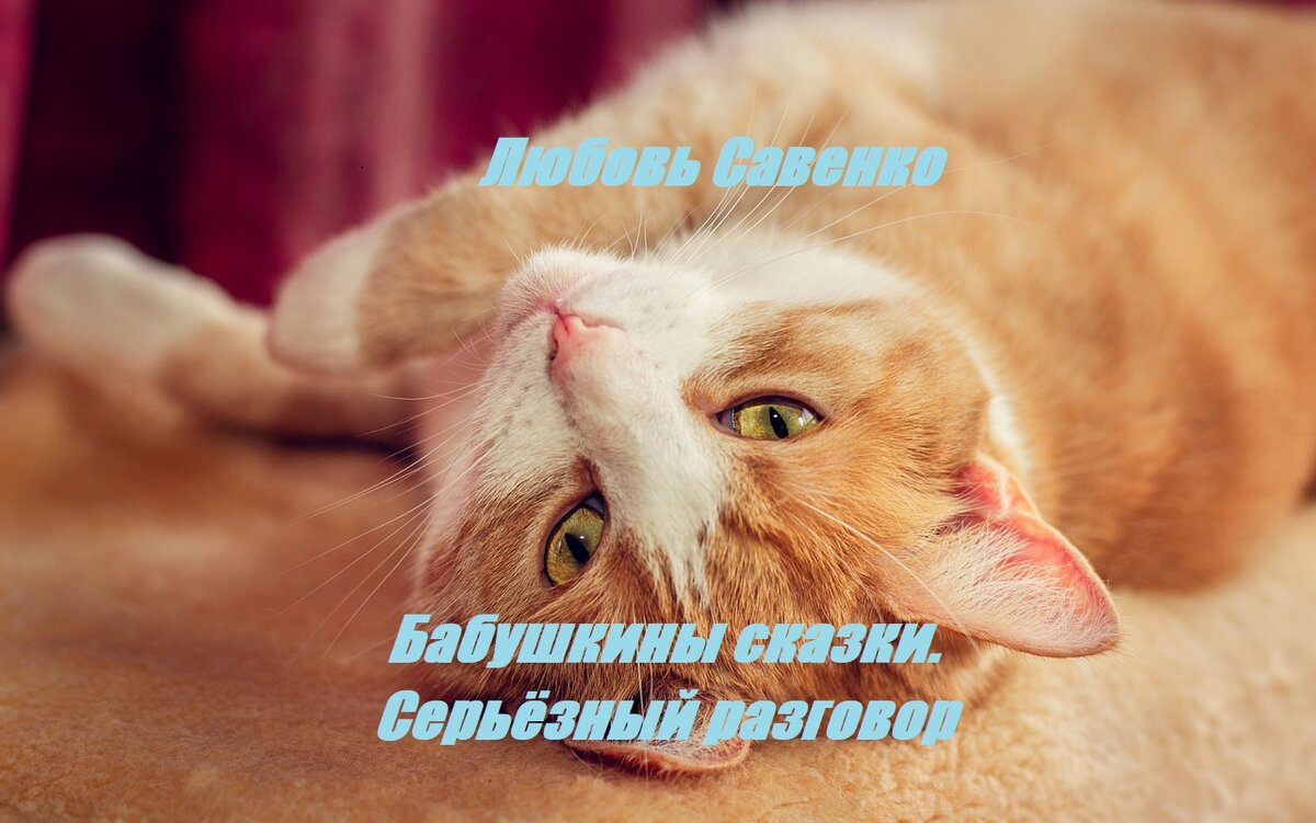 Фото из интернета, сайт needpix.com