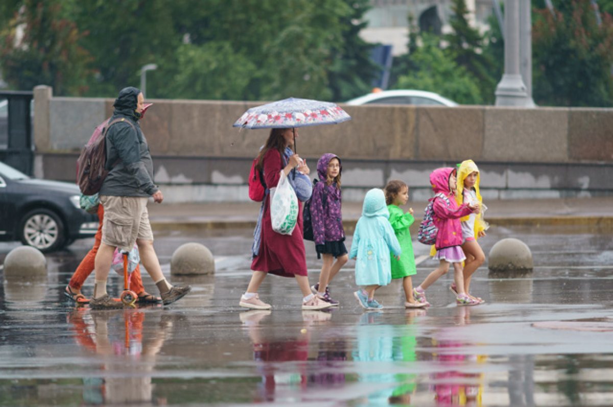    Радость в детях.